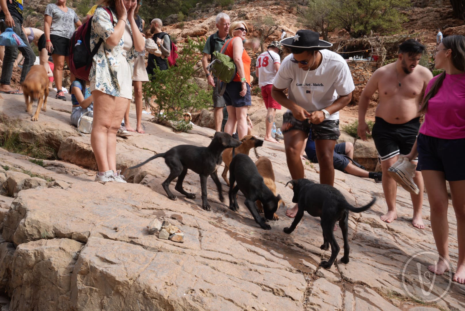 Swimming in natural pools at Paradise Valley Morocco